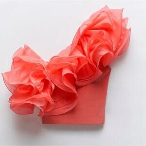 Zara One Shoulder Ruffle Top Women's Small Coral Blogger's Fave Organza NWT